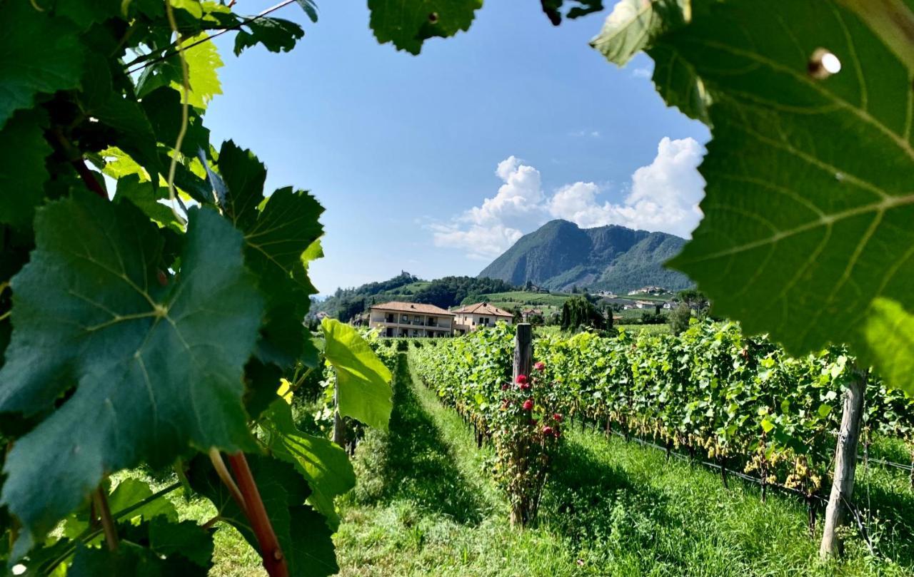 Weingut Gasshof Apartamento Appiano Sulla Strada Del Vino Exterior foto